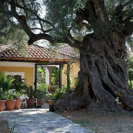 Villa Christina Закінф Екстер'єр фото